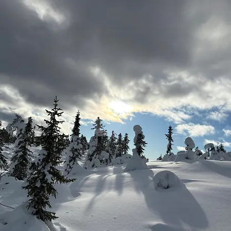 With Views Over Osterdalen In Birkenasen * Rena