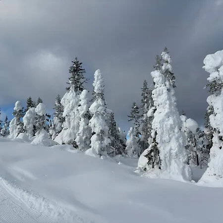 With Views Over Osterdalen In Birkenasen Feriehus