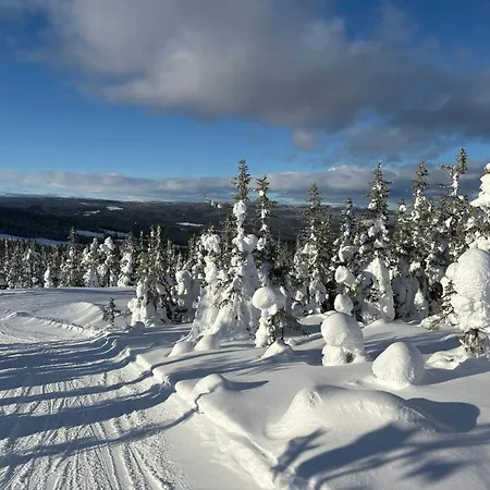 With Views Over Osterdalen In Birkenasen Hébergement de vacances