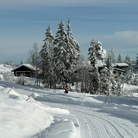 Feriehus With Views Over Osterdalen In Birkenasen *